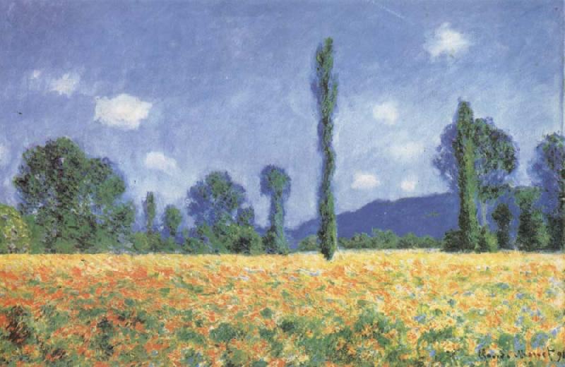 Claude Monet Poppy Field